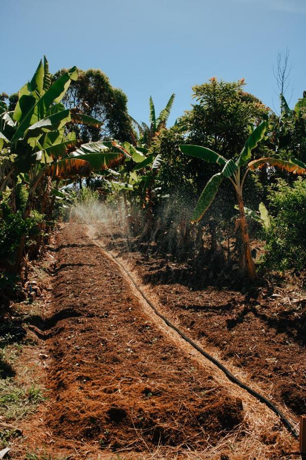 Hotel Vegano Bona Espero Alto Paraíso de Goiás Esterno foto