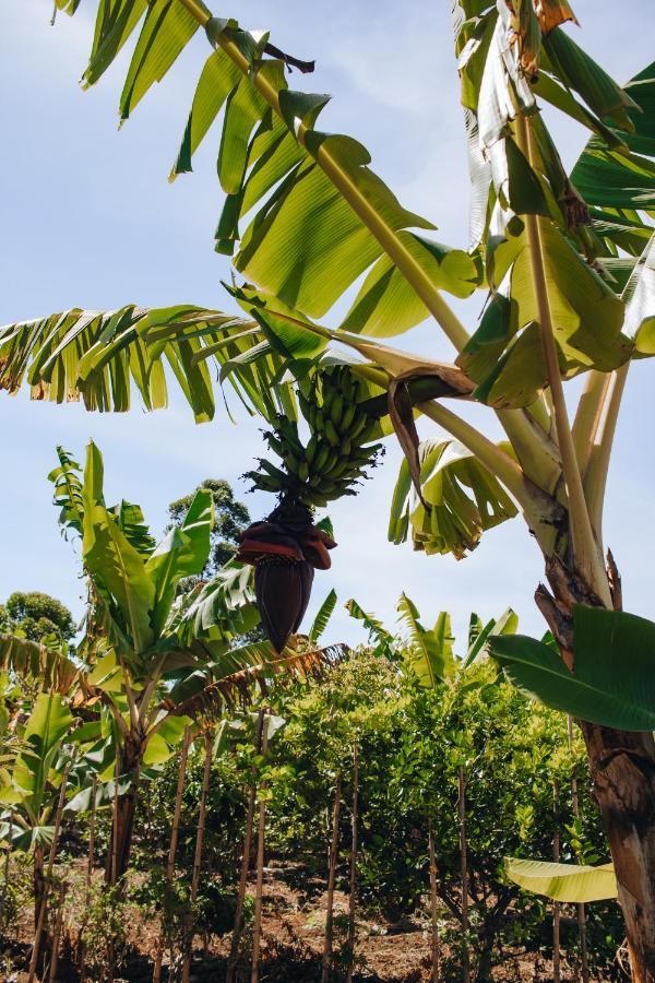 Hotel Vegano Bona Espero Alto Paraíso de Goiás Esterno foto